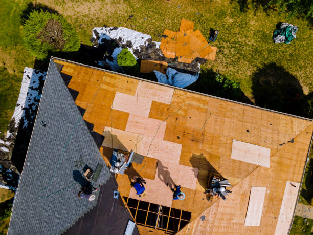 Best Metal Roofing Contractor  in Coleman, MI