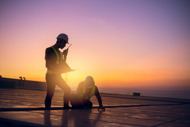 Best Roof Gutter Cleaning  in Coleman, MI