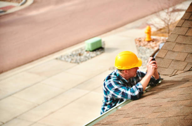 Best Flat Roof Repair Services  in Coleman, MI