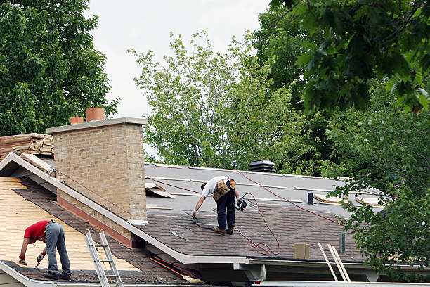 Best Residential Roofing Contractor  in Coleman, MI