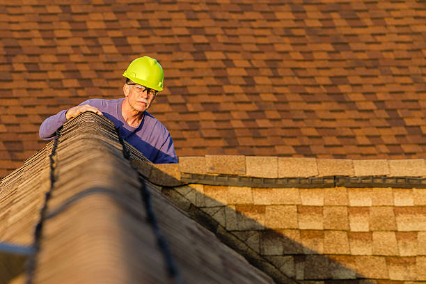 Best Roof Repair Specialists  in Coleman, MI