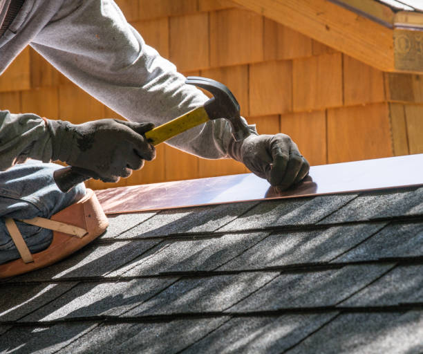 Best Shingle Roofing Installation  in Coleman, MI